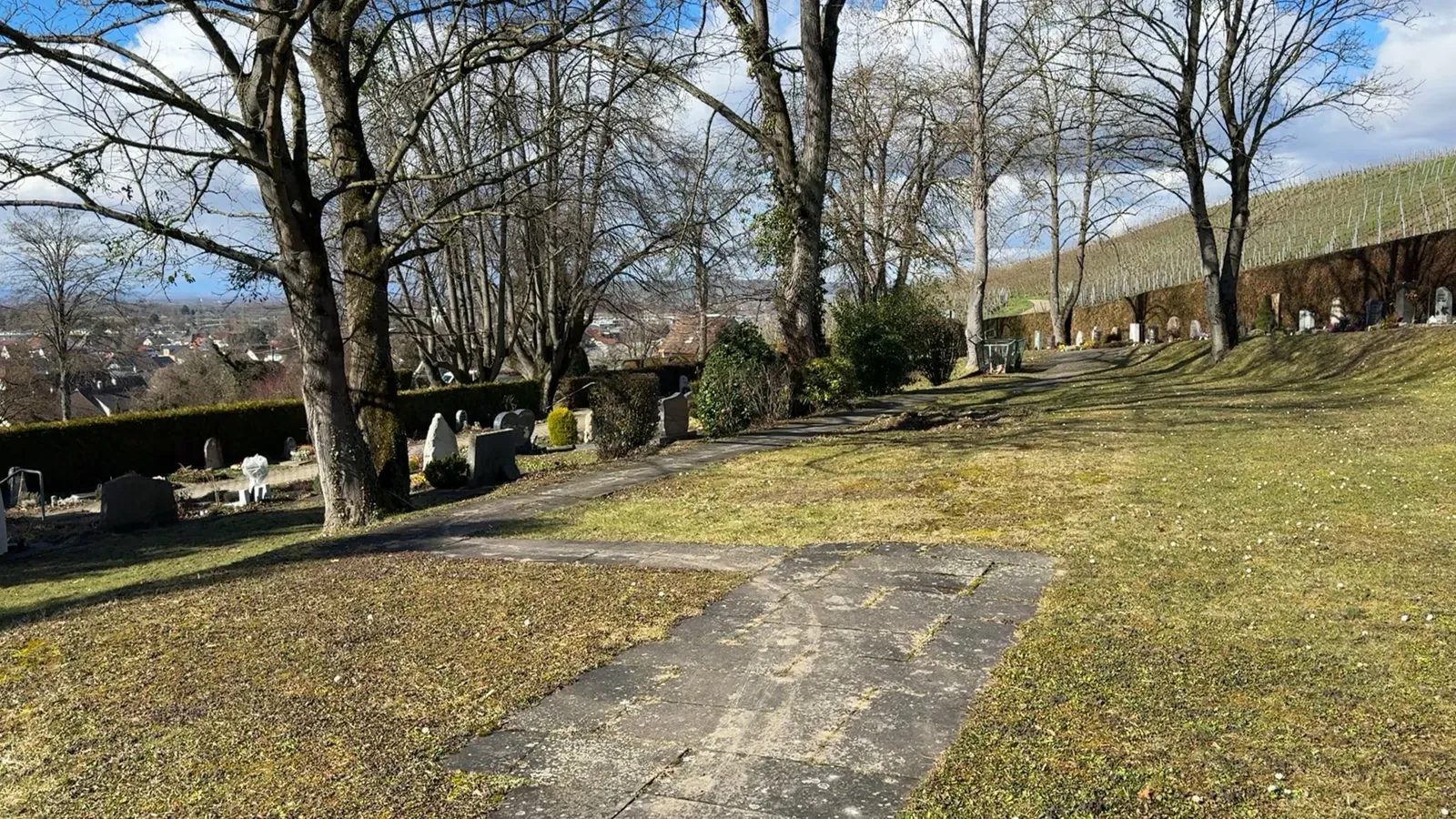 Friedhof in Lörrach am Hang mit Reben und Blick über die Stadt