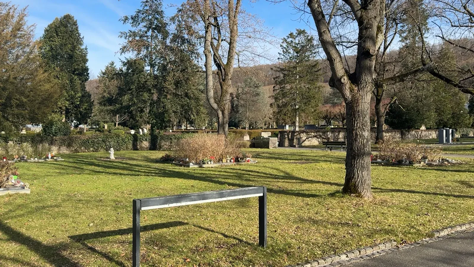 Stille Wiese auf dem Friedhof in Lörrach im Winterlicht